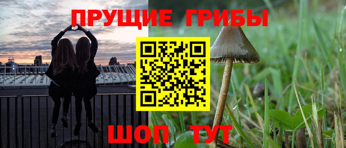 Псилоцибиновые грибы прущие грибы Кизилюрт